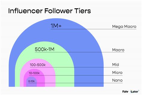 nano micro macro influenceur|Nano or Macro: How an Influencer’s Follower Count .